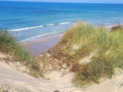 Holiday house Luxurioses Spa-Retreat am Golfplatz -- By Traum Ferienwohnungen - Outdoor photo 16