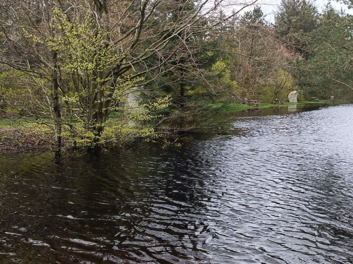 Holiday house 4 person holiday home in Oksbøl-By Traum - Outdoor photo 2