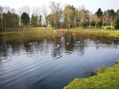 Holiday house 4 person holiday home in Oksbøl-By Traum - Outdoor photo 9