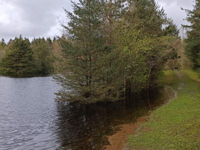 Holiday house 4 person holiday home in Oksbøl-By Traum - Outdoor photo 27