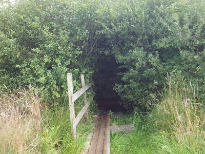 Holiday house 4 person holiday home in Oksbøl-By Traum - Outdoor photo 33