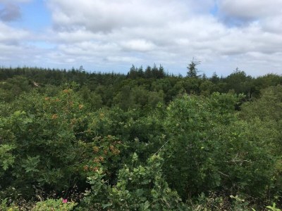 Holiday house 4 person holiday home in Oksbøl-By Traum - Outdoor photo 35