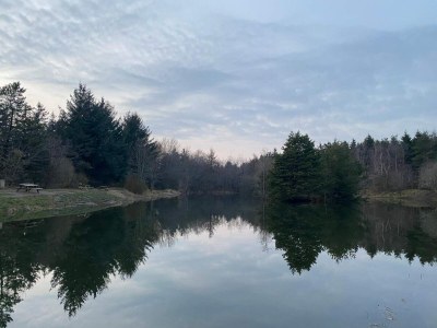 Holiday house 4 person holiday home in Oksbøl-By Traum - Outdoor photo 36