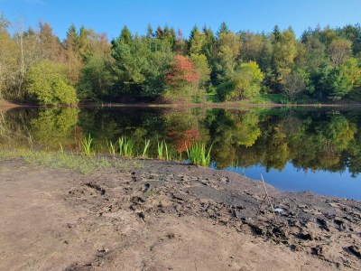 Holiday house 4 person holiday home in Oksbøl-By Traum - Outdoor photo 38