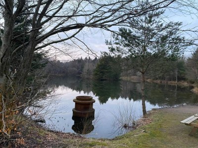 Holiday house 4 person holiday home in Oksbøl-By Traum - Outdoor photo 39