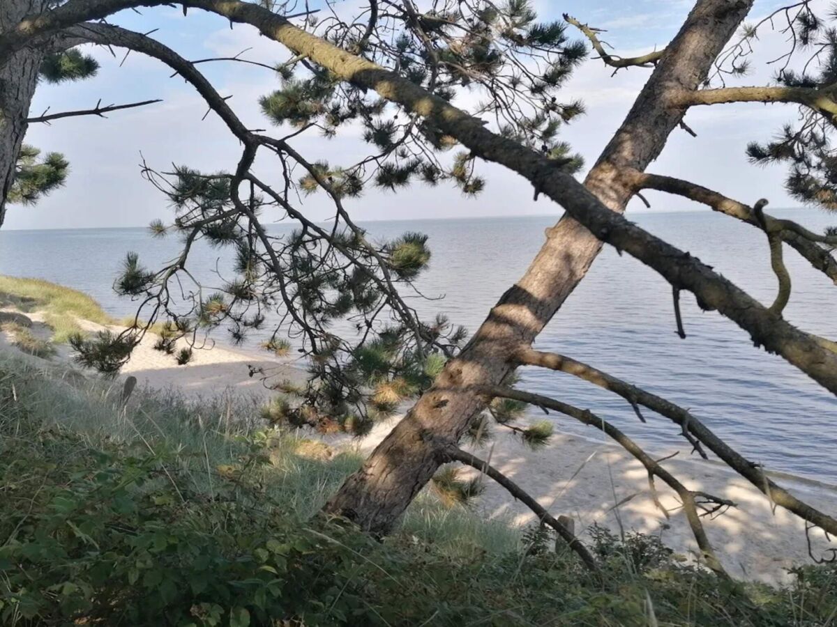 Holiday house Charming Country Retreat - By Traum Ferienwohnungen - Outdoor photo 4