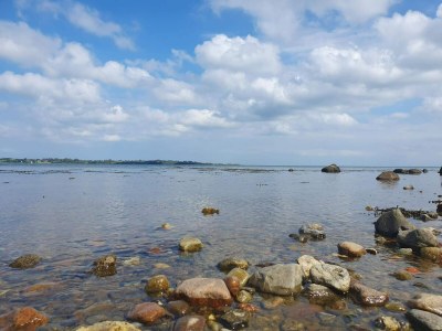 Holiday house 4 person holiday home in Aabenraa-By Traum - Outdoor photo 28