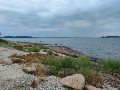 Holiday house 4 person holiday home in Aabenraa-By Traum - Outdoor photo 33