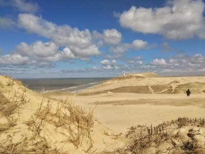 Holiday house Strand Ruckzug in Lokken -- By Traum Ferienwohnungen - Outdoor photo 17
