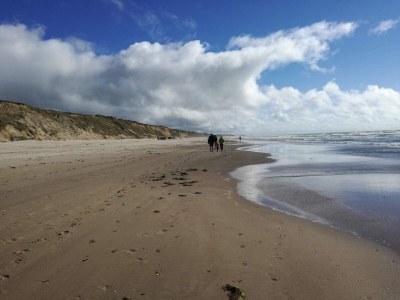 Holiday house Strand Ruckzug in Lokken -- By Traum Ferienwohnungen - Outdoor photo 39