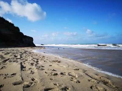 Holiday house Strand Ruckzug in Lokken -- By Traum Ferienwohnungen - Outdoor photo 46