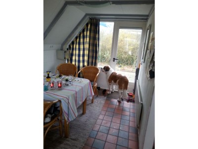 Holiday house Stroming 30 (in Zoutelande) - Outdoor photo 7