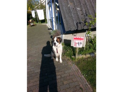 Holiday house Stroming 30 (in Zoutelande) - Features photo 9