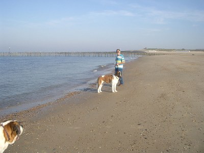 Holiday house Stroming 30 (in Zoutelande) - Environment photo 10