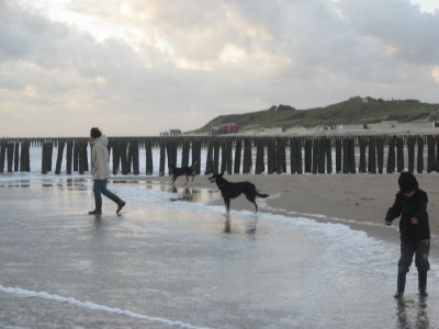 Holiday house Stroming 30 (in Zoutelande) - Environment photo 12