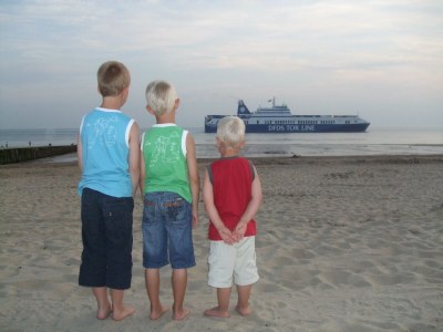 Holiday house Stroming 30 (in Zoutelande) - Environment photo 13