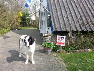 Holiday house Stroming 30 (in Zoutelande) - Document photo 14