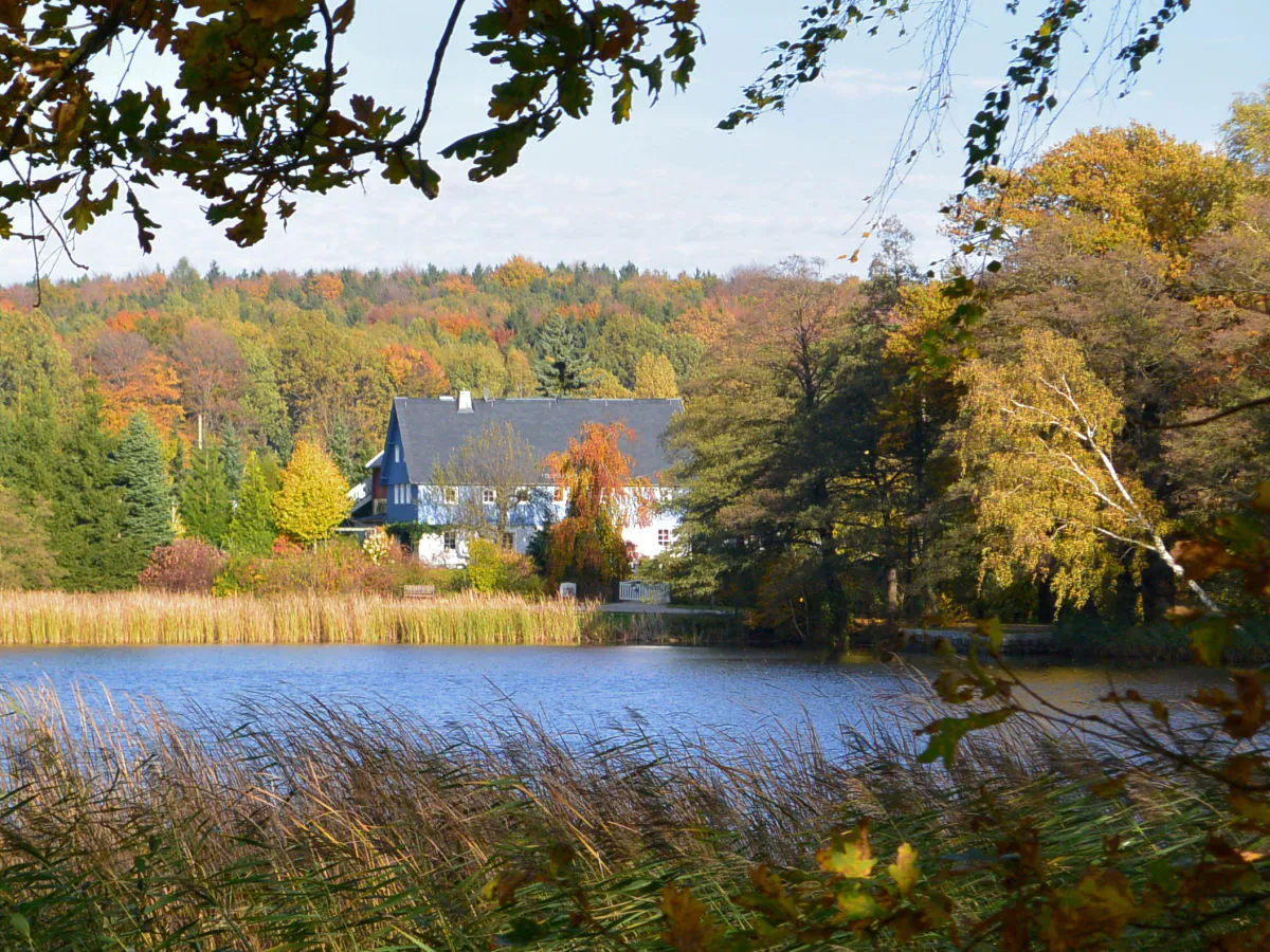 Holiday apartment "Zur Waldscheibe " 2