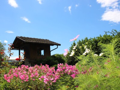 Holiday apartment Historika - Outdoor photo 6