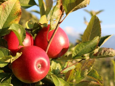 Holiday apartment Historika - Outdoor photo 7