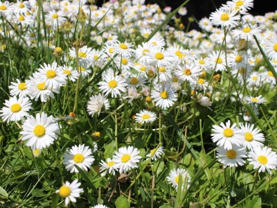 Holiday apartment Historika - Environment photo 21