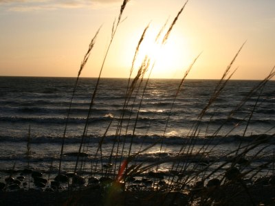 Holiday house Ostseebrandung - Haus Seepferdchen - Environment photo 15