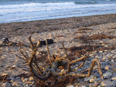 Holiday house Ostseebrandung - Haus Seepferdchen - Environment photo 16