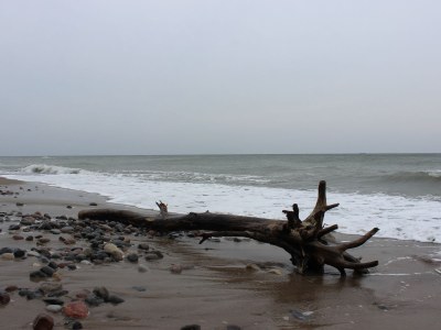 Holiday house Ostseebrandung - Haus Seepferdchen - Environment photo 19