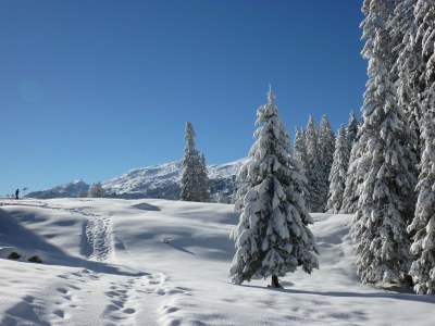 Holiday house Obertalerhof - Environment photo 29