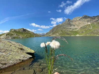 Holiday house Obertalerhof - Environment photo 35