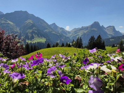 Apartment At the guesthouse Haus Annette - Outdoor photo 8