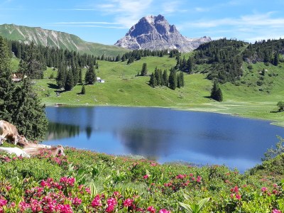 Apartment At the guesthouse Haus Annette - Environment photo 24