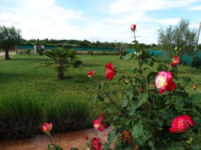 Holiday house Liljana, Anzici - Outdoor photo 6