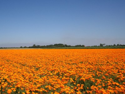 Holiday house Huijsmansverhuur Type B de Luxe Grevelingen 24 - Environment photo 28