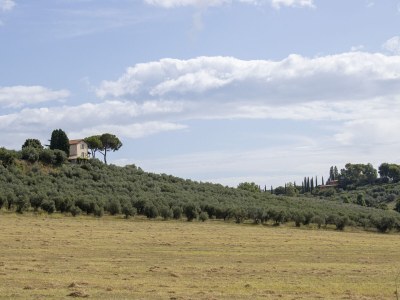 Holiday apartment Glicine - Vigna Luisa Resort - Outdoor photo 4