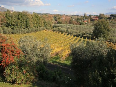 Holiday apartment Glicine - Vigna Luisa Resort - Outdoor photo 6