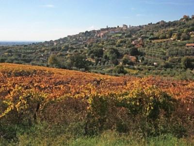 Holiday apartment Glicine - Vigna Luisa Resort - Outdoor photo 7