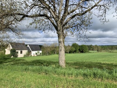 Cottage La Cueille - Outdoor photo 12