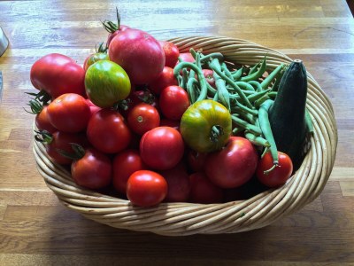 Cottage La Cueille - Environment photo 19