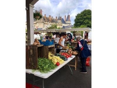 Cottage La Cueille - Environment photo 20