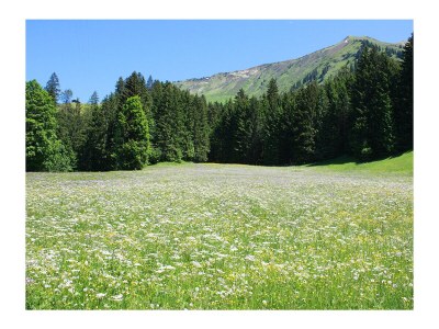 Holiday house Villa Vertical - Environment photo 31