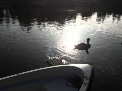 Holiday house House 56 - Environment photo 39