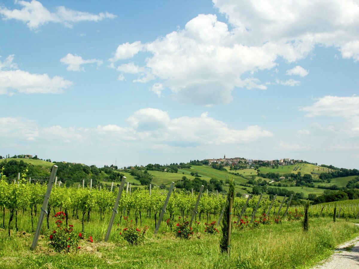 Villa Villa w/ Wine Tours Near Beach - Outdoor photo 4