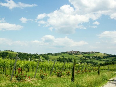 Villa Villa w/ Wine Tours Near Beach - Outdoor photo 4