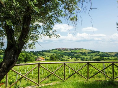 Villa Villa w/ Wine Tours Near Beach - Outdoor photo 11