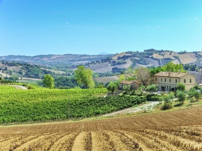 Villa Villa w/ Wine Tours Near Beach - Environment photo 33