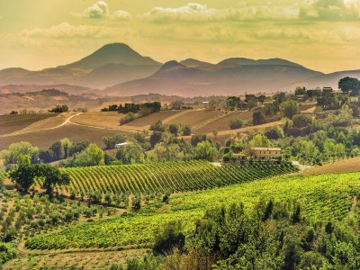 Villa Villa w/ Wine Tours Near Beach - Environment photo 35