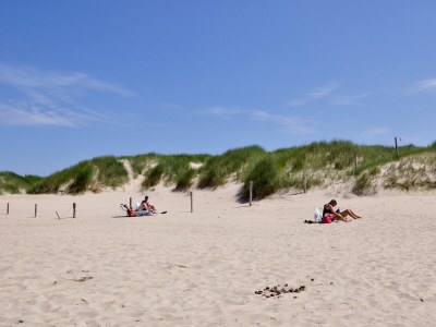 Bungalow Wildrijk 91 - Environment photo 14