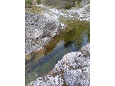 Holiday apartment Wörnle - Environment photo 34