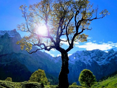 Holiday apartment Wörnle - Environment photo 37